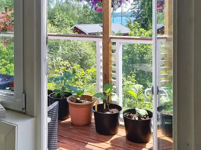 Indoor