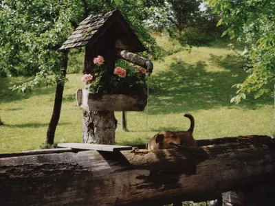 Brunnen im Garten beim Ferienhaus Koglerhütte