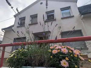Ferienhaus für 8 Personen (125 m²) in Bruttig