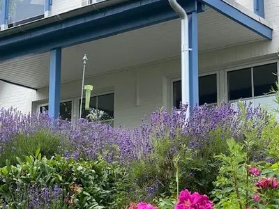 Ferienhaus für 2 Personen (94 m²) in Boren 3/10