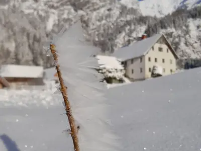 Ansicht Hof Raureif