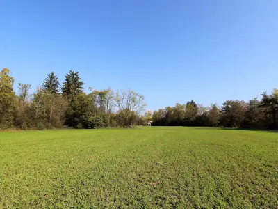 ExteriorSummer