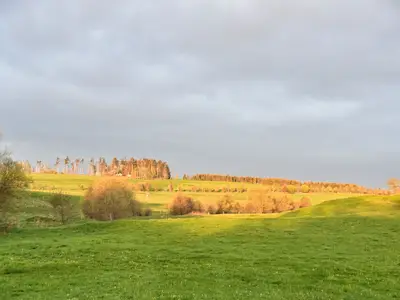 Landschaft