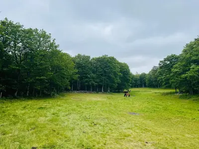 Outdoor