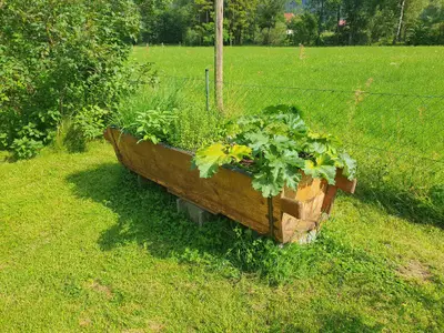 Kräuter