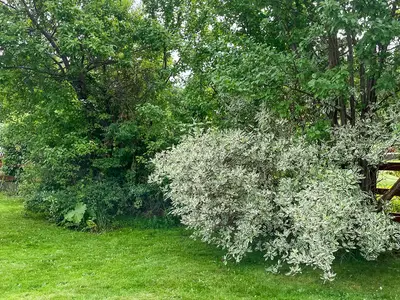 outside