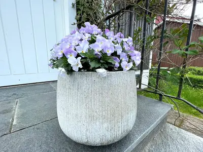Outdoor