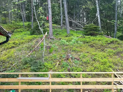 Outdoor