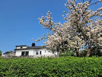 Outdoor