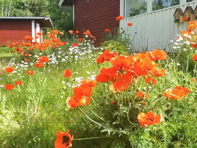 Outdoor