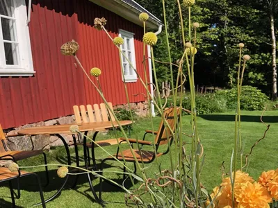 Outdoor
