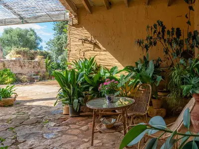 Ferienhaus für 5 Personen (22 m²) in Felanitx 8/10