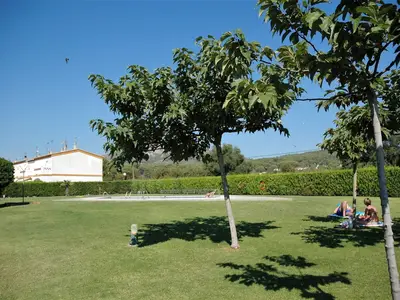 GardenSummer