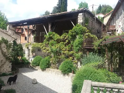 ViewSummer