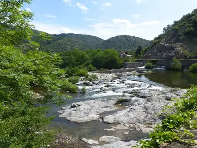 ViewSummer