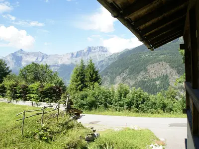 ViewSummer