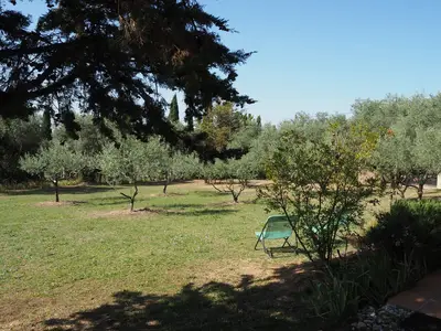 GardenSummer