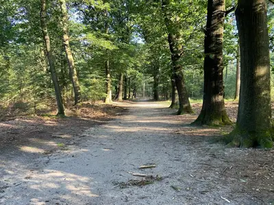 AreaSummer1KM
