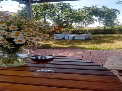 GardenSummer