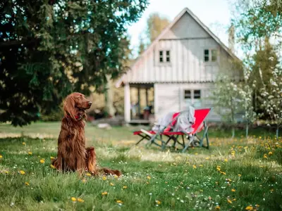 GardenSummer