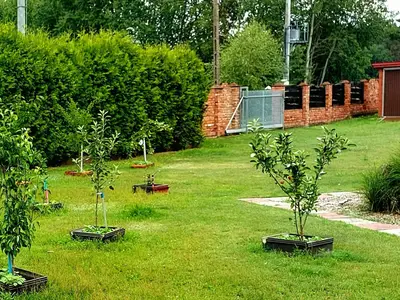 GardenSummer