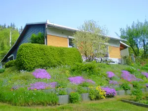 Ferienhaus für 5 Personen (55 m²) in Neuhaus am Rennweg