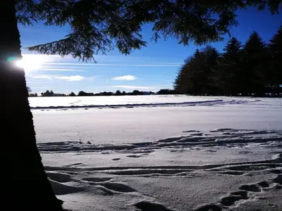 AreaWinter20KM
