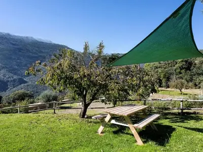ViewSummer