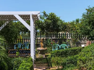 GardenSummer