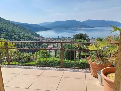 ViewSummer