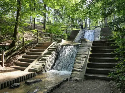 AreaSummer1KM