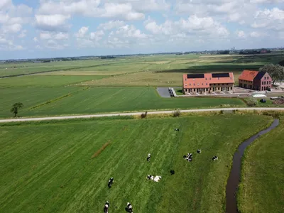 AreaSummer1KM