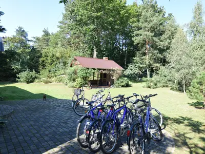 GardenSummer