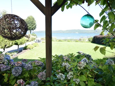ViewSummer
