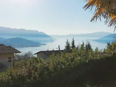 ViewSummer