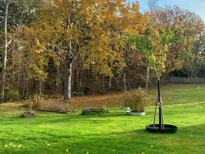 Outdoor