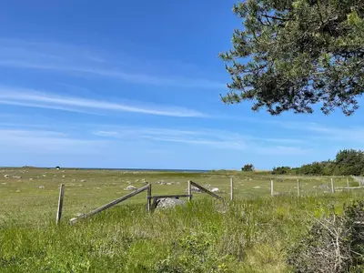 Outdoor