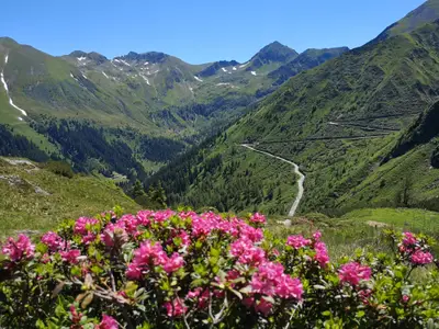 Sölkpass