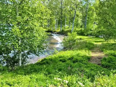 WaterView