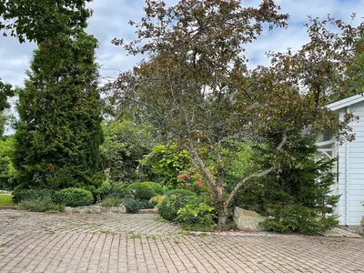 Outdoor