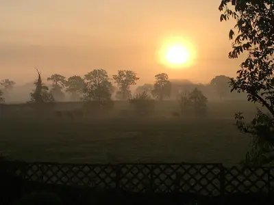 ViewSummer