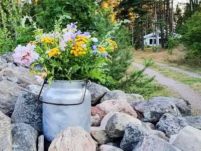 Outdoor