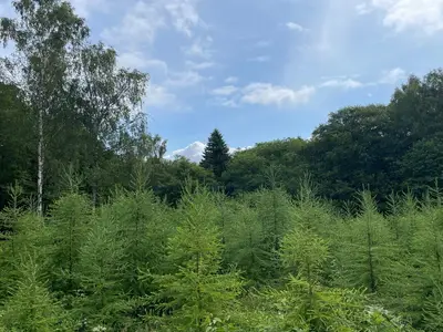 Outdoor