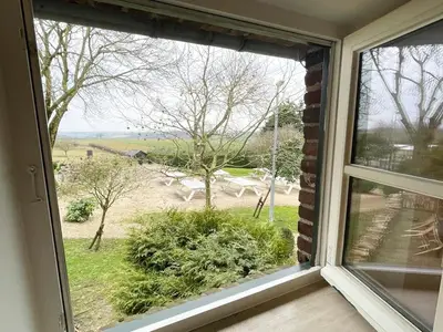 ViewSummer
