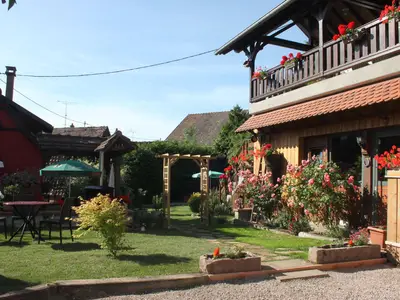 Der Rasen vor dem Haus