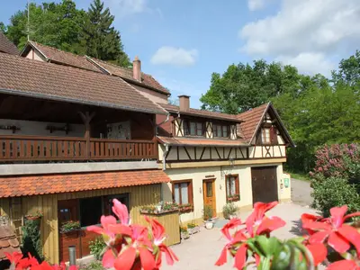 Das Ferienhaus im Frühling