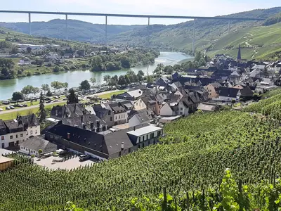 Blick in das Moseltal