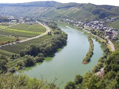 Die Mosel unweit von Weiler