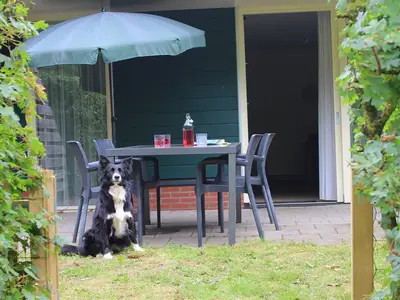 GardenSummer