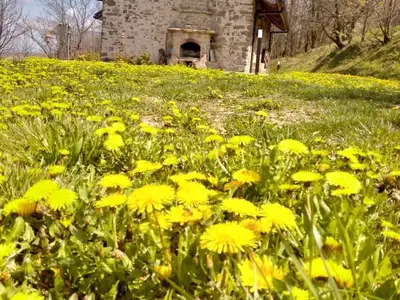 Bild 56